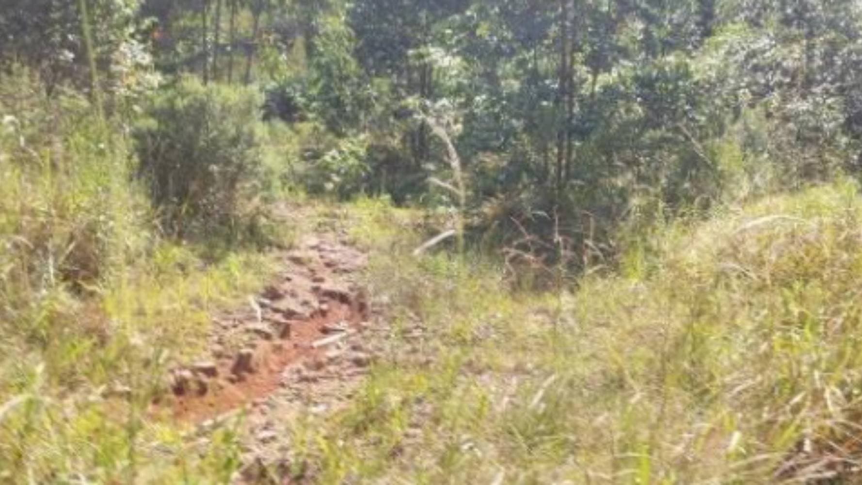 Foto 3 de 7: Terreno em leilão em Vila Maria - RS — Terreno na Zona Rural - Vila Maria/RS