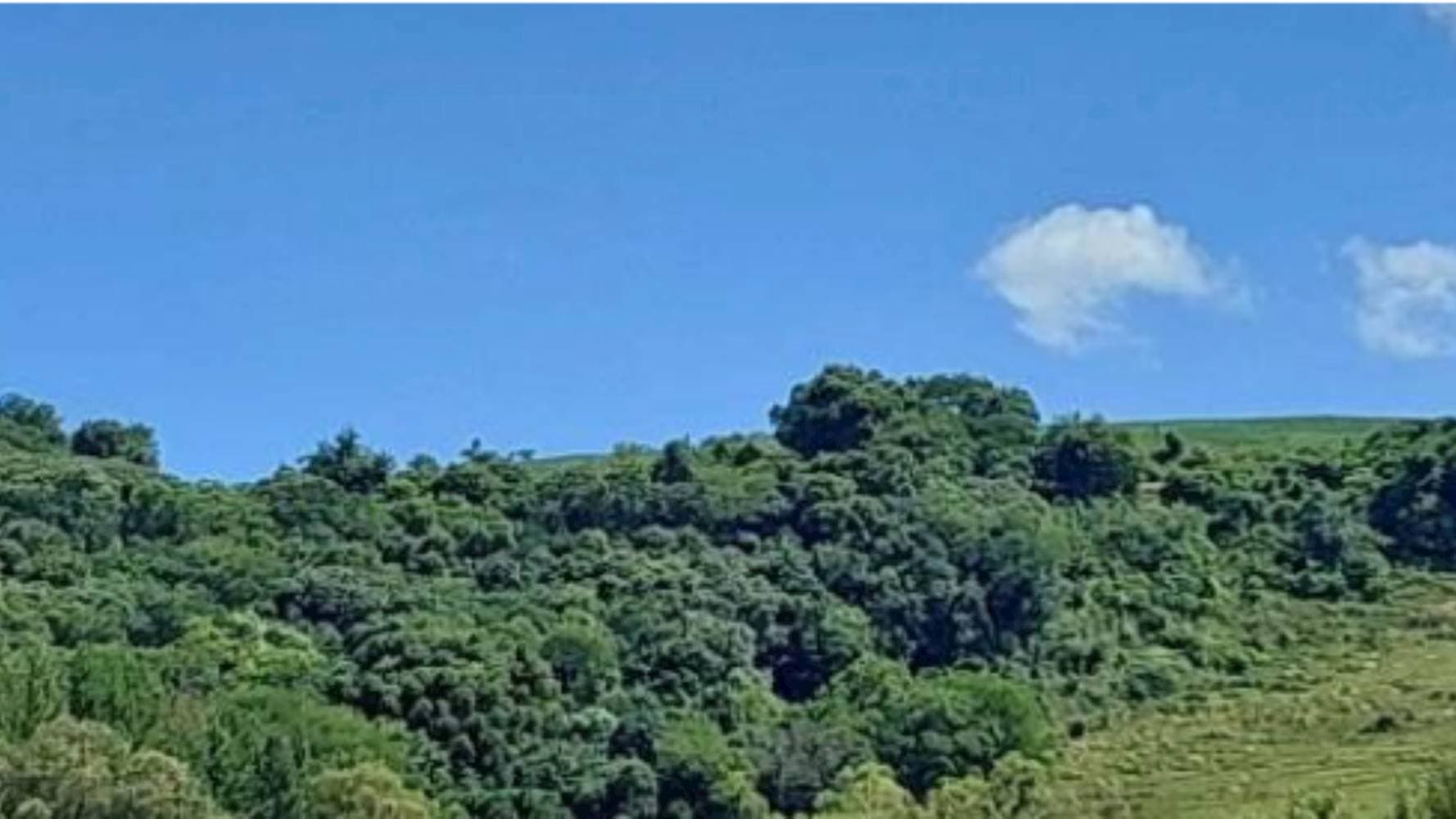 Foto 4 de 7: Terreno em leilão em Vila Maria - RS — Terreno na Zona Rural - Vila Maria/RS
