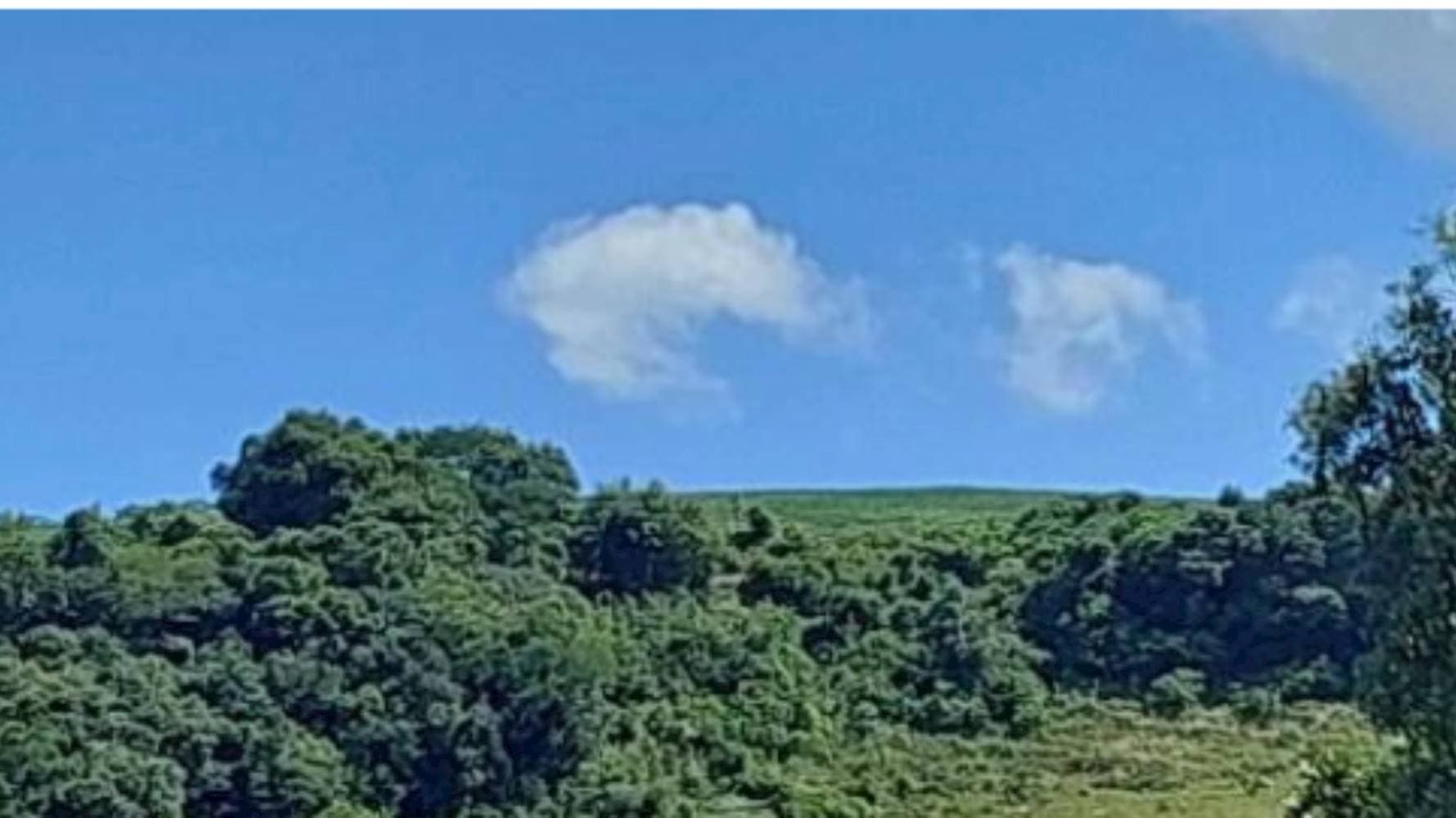 Foto 6 de 7: Terreno em leilão em Vila Maria - RS — Terreno na Zona Rural - Vila Maria/RS
