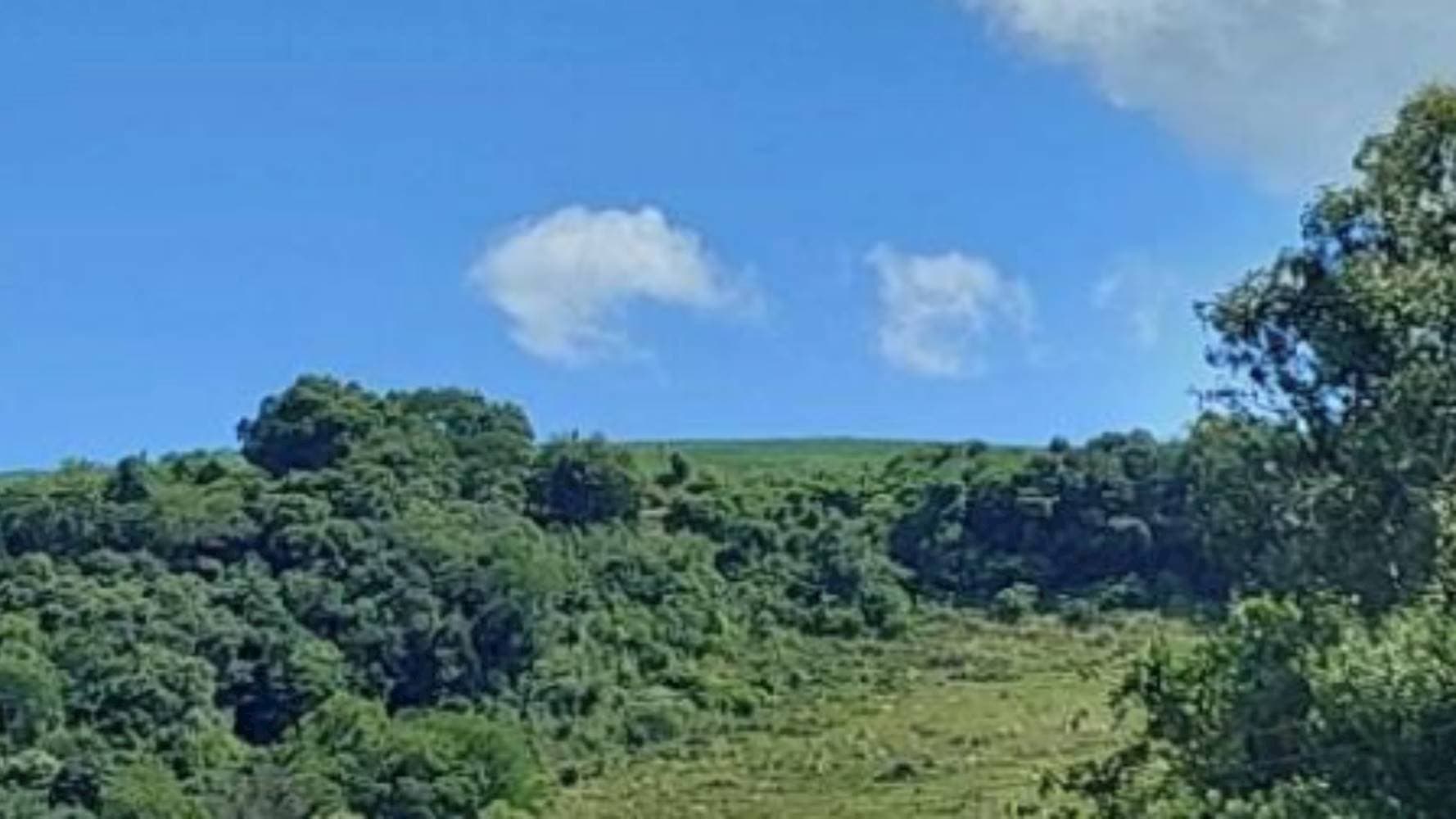 Foto 7 de 7: Terreno em leilão em Vila Maria - RS — Terreno na Zona Rural - Vila Maria/RS