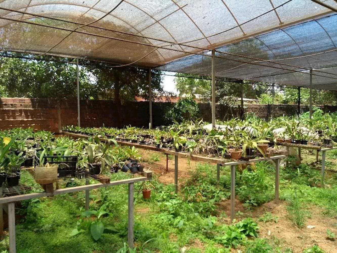 Foto 30 de 30: Casa em leilão em Guaiçara - SP — Casa na Saúde - Guaicara/SP