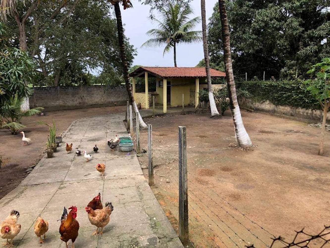 Foto 26 de 27: Casa em leilão em Penedo - AL — Casa em Dom Constantino - Penedo/AL