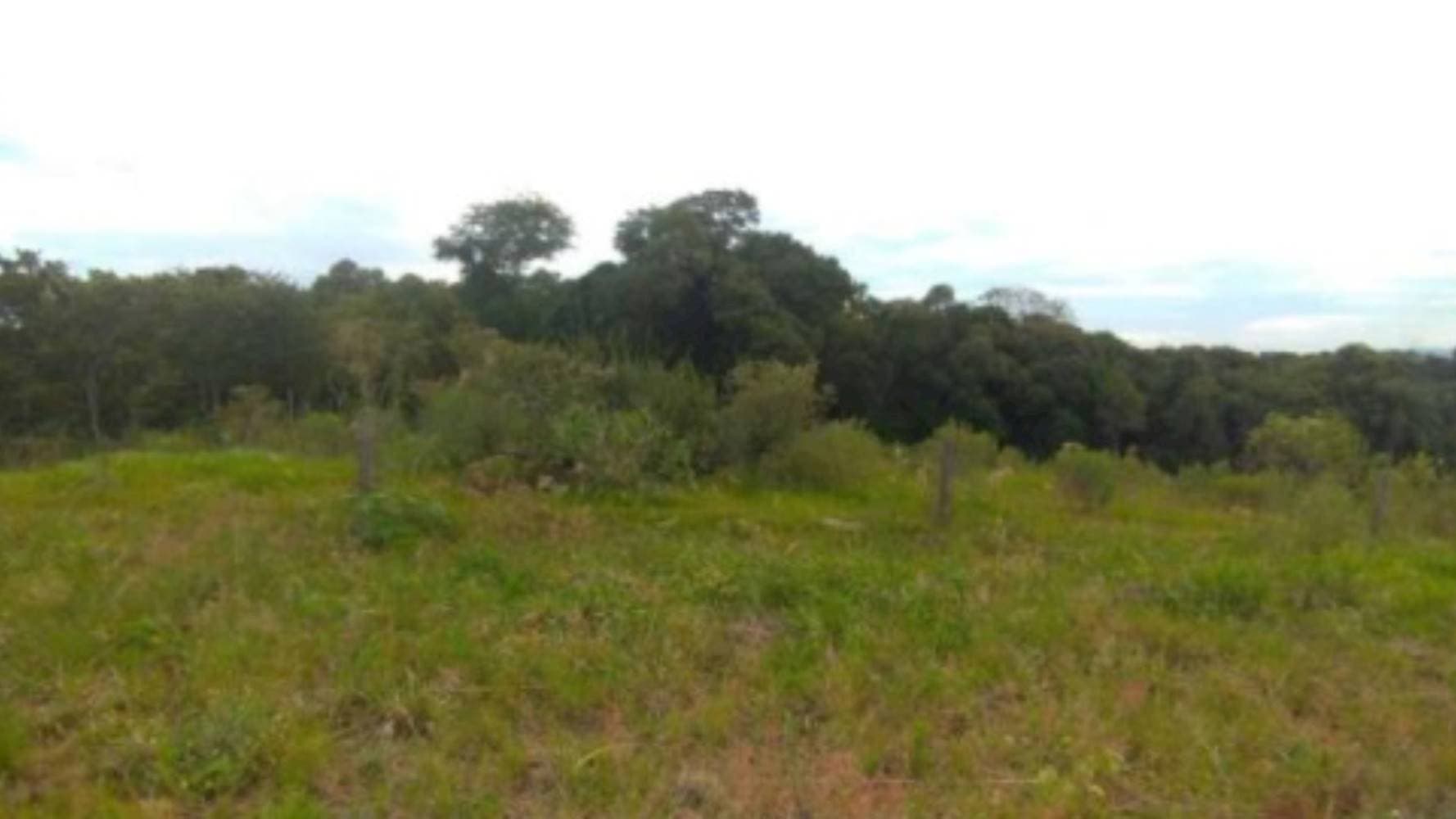 Foto 2 de 7: Terreno em leilão em Herval D'Oeste - SC — Terreno na Vila Germânia - Herval D’Oeste/SC