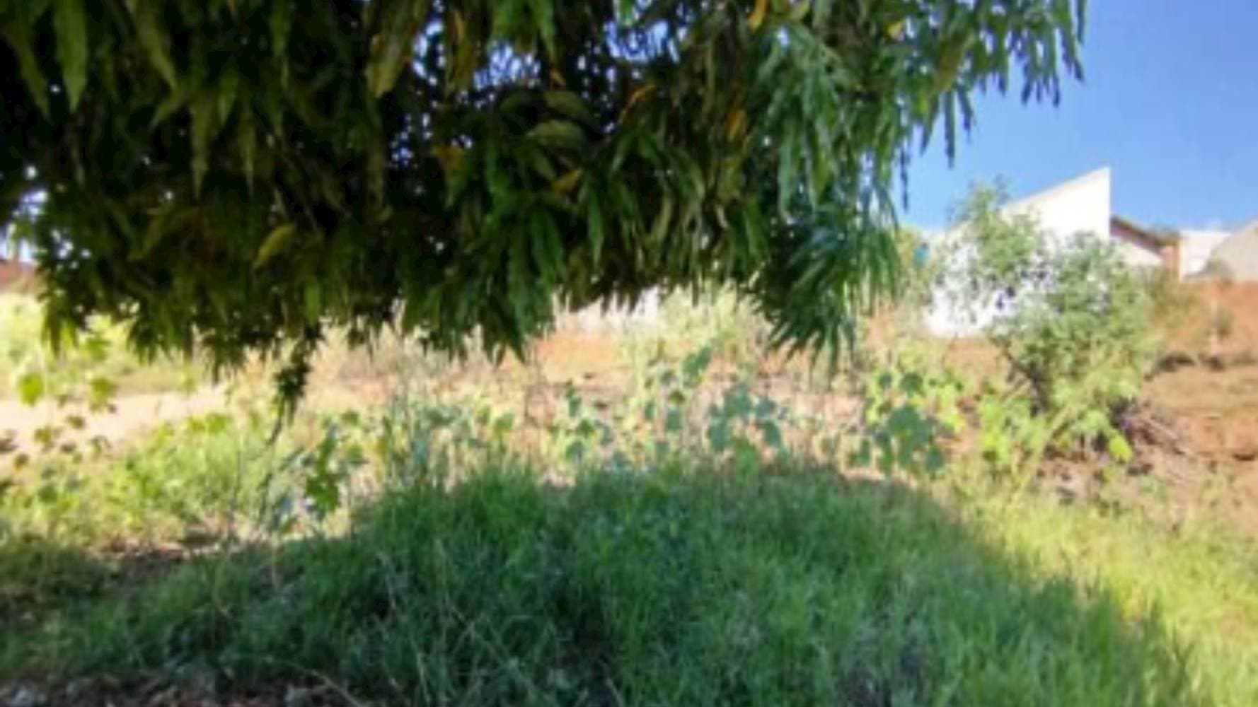 Foto 6 de 9: Terreno em leilão em Pacaembu - SP — Terreno no Bairro Jardim Marajá em Pacaembu/SP