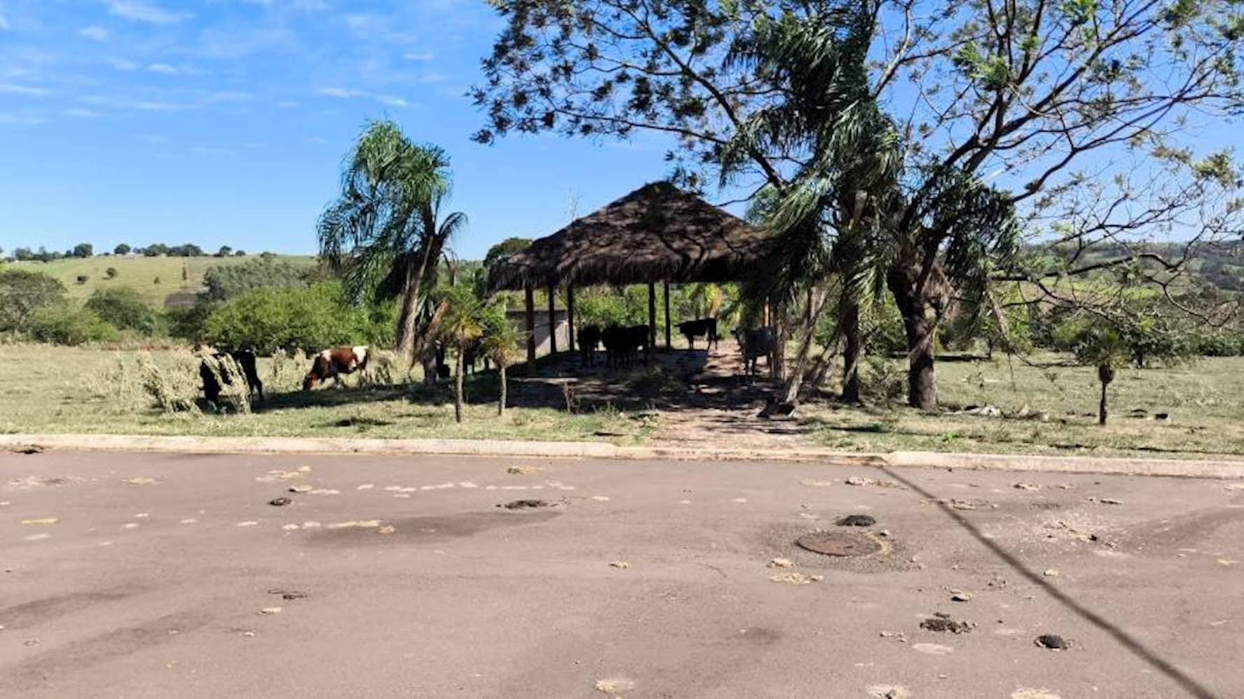 Foto 13 de 20: Terreno em leilão em Pérola - PR — Terreno no Parque Residencial Viva - Pérola/PR