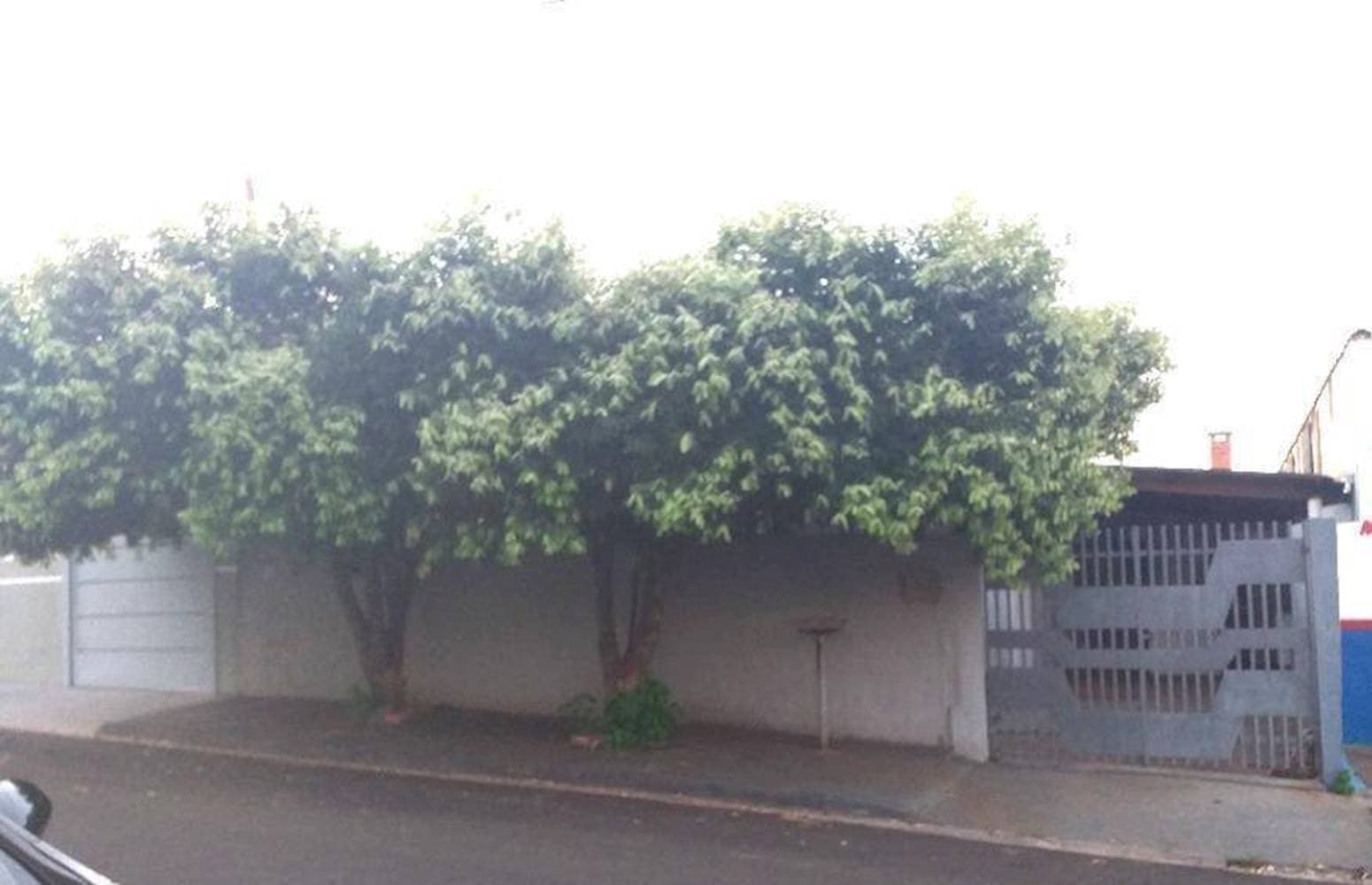 Foto 1 de 22: Casa em leilão em Taquaritinga - SP — Casa no Jardim Buscardi em Taquaritinga/SP