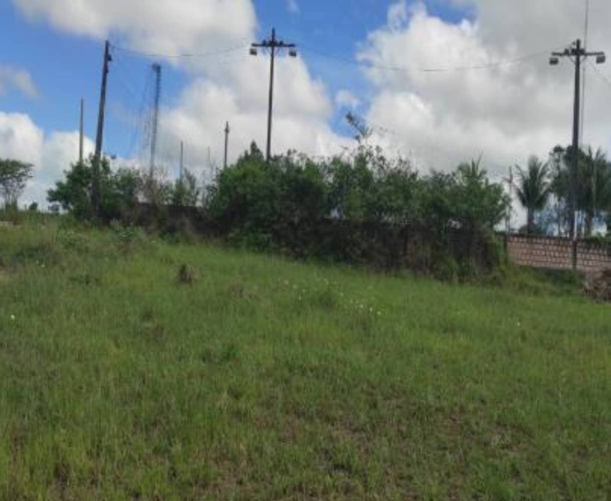 Foto 6 de 9: Terreno em leilão em Eunápolis - BA — Terreno em Adolfo Xavier - Eunápolis/BA