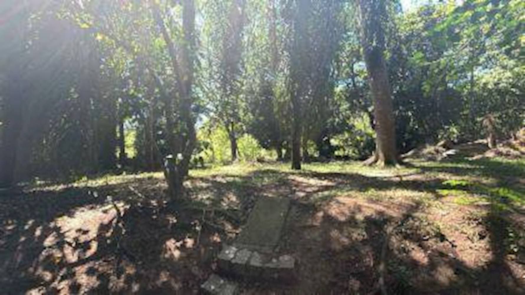 Foto 18 de 21: Casa em leilão em Viamão - RS — Casa em Tarumã - Viamão/RS