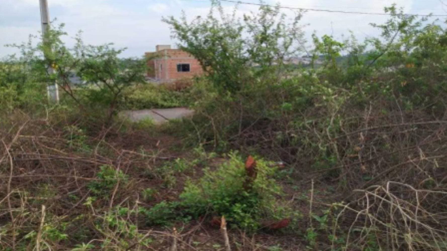 Foto 5 de 7: Terreno em leilão em Feira de Santana - BA — Terreno no Loteamento Vivari Feira de Santana - Registro - Feira de Santana/BA