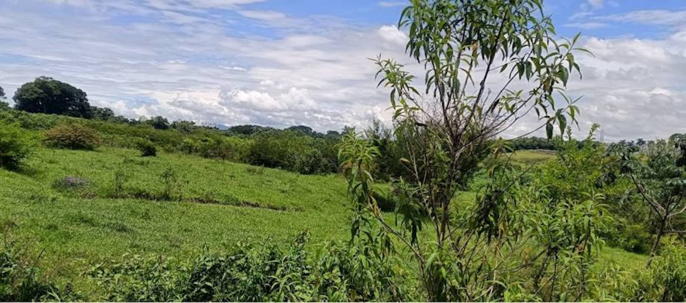 Foto 2 de 7: Terreno em leilão em Taubaté - SP — Terreno no Parque São Cristóvão em Taubaté/SP