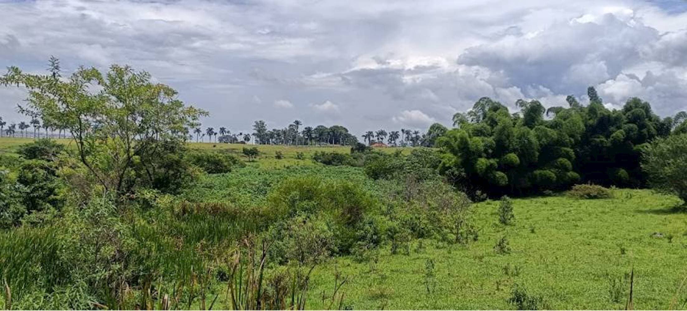 Foto 4 de 7: Terreno em leilão em Taubaté - SP — Terreno no Parque São Cristóvão em Taubaté/SP
