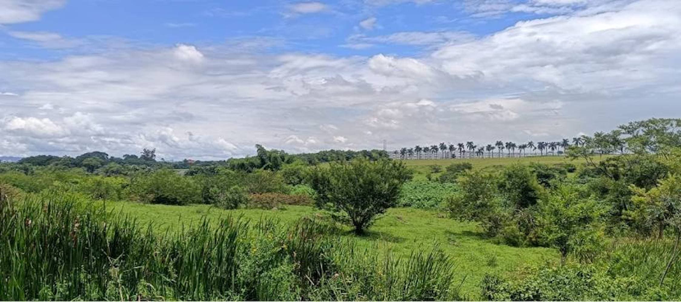 Foto 5 de 7: Terreno em leilão em Taubaté - SP — Terreno no Parque São Cristóvão em Taubaté/SP