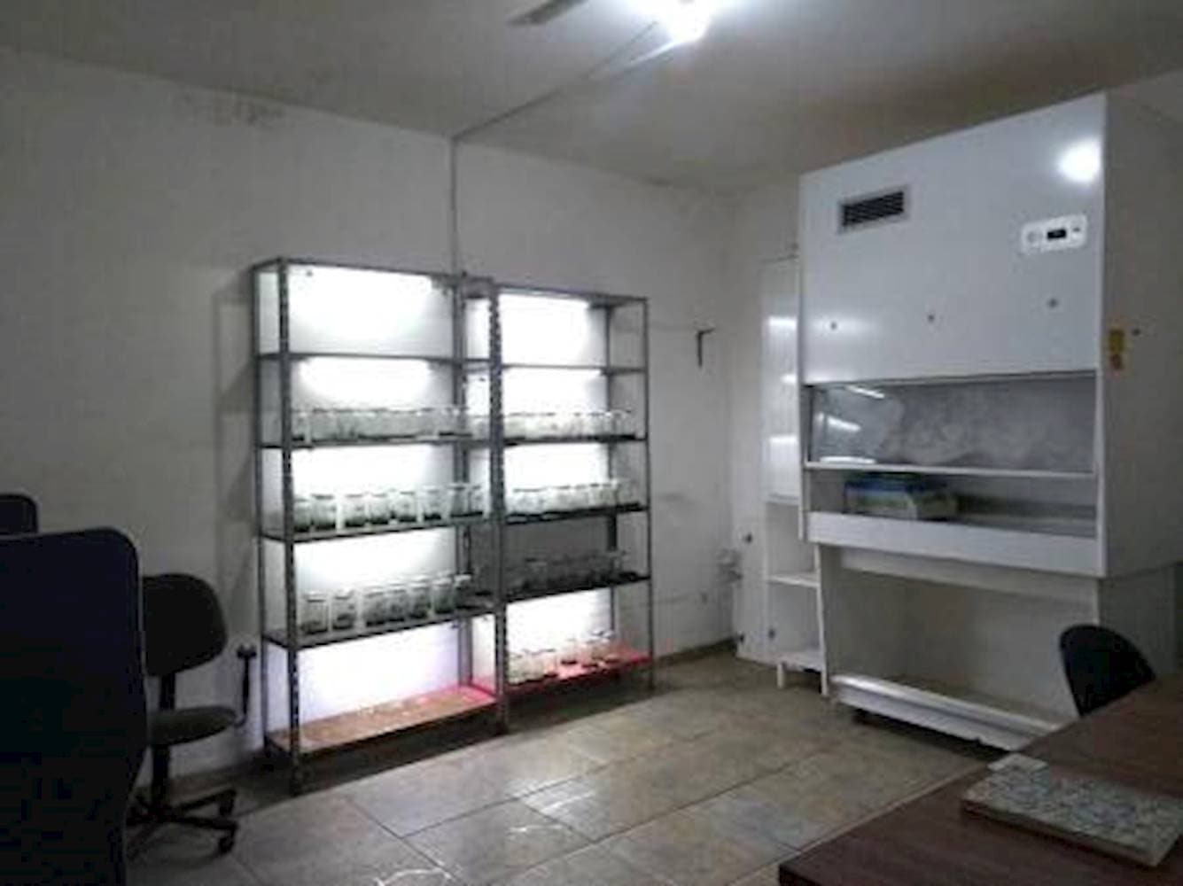 Foto 25 de 40: Casa em leilão em Guaiçara - SP — Casa em Saúde - Guaiçara/SP