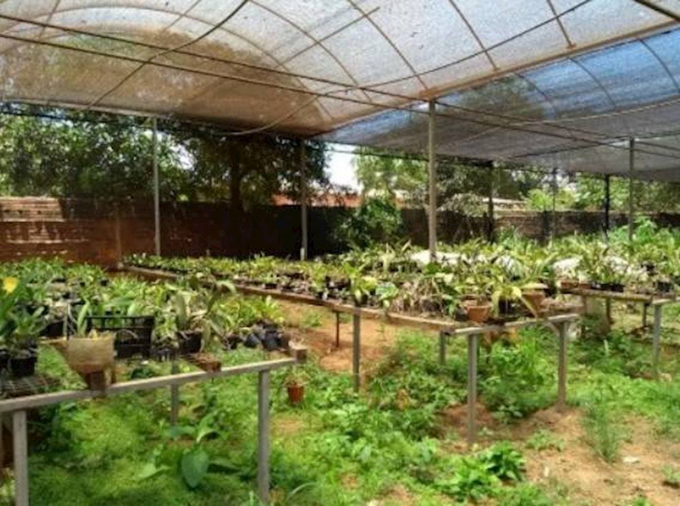 Foto 36 de 40: Casa em leilão em Guaiçara - SP — Casa em Saúde - Guaiçara/SP
