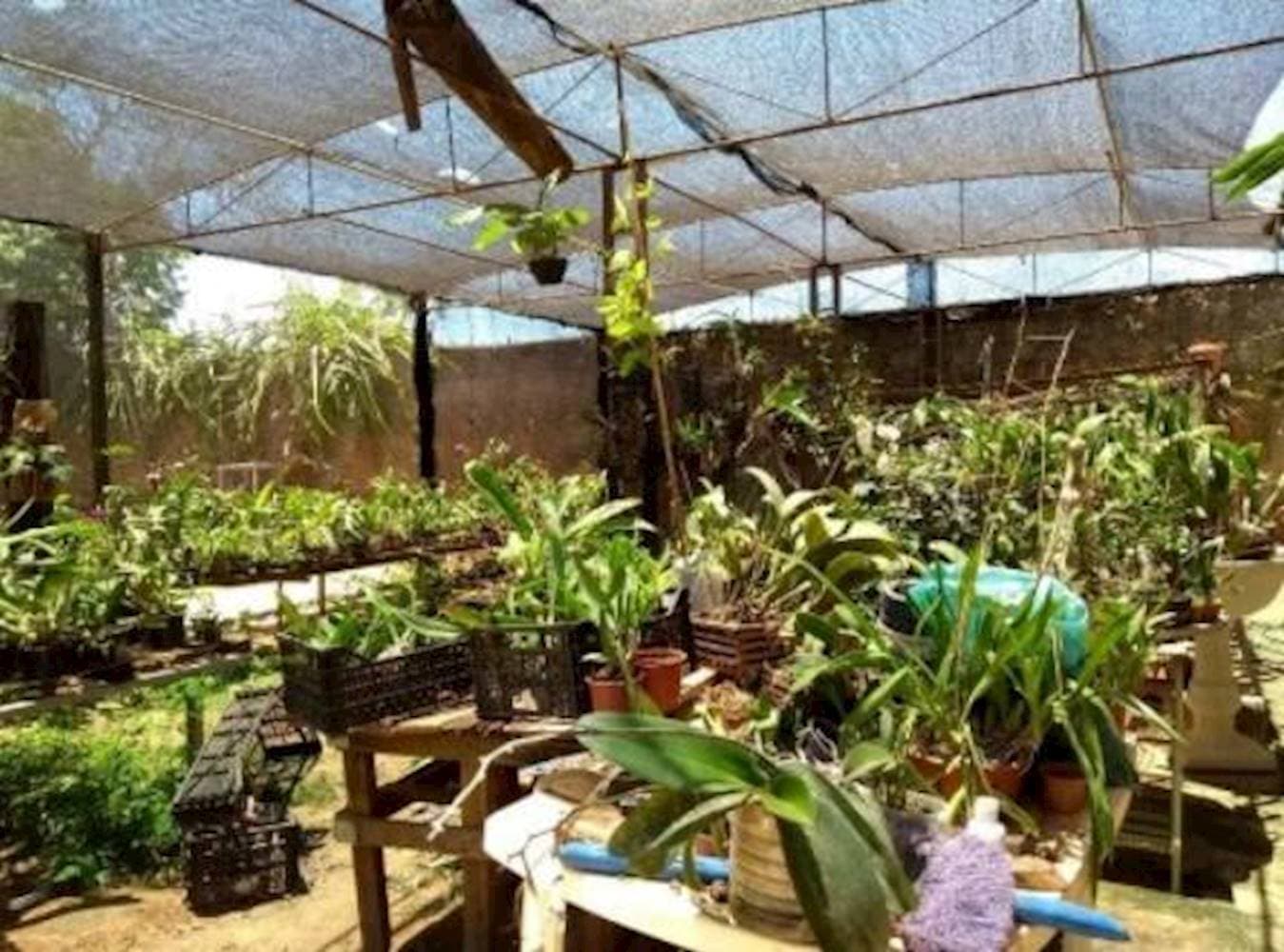 Foto 37 de 40: Casa em leilão em Guaiçara - SP — Casa em Saúde - Guaiçara/SP