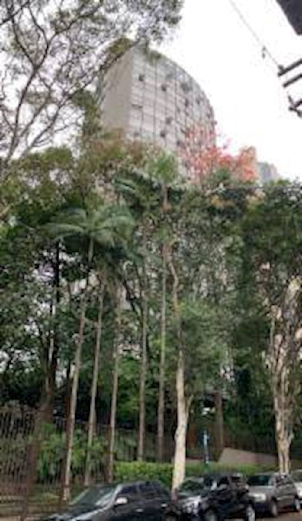 Foto 2 de 6: Apartamento em leilão em São Paulo - SP — Apartamento no Morumbi - São Paulo/SP