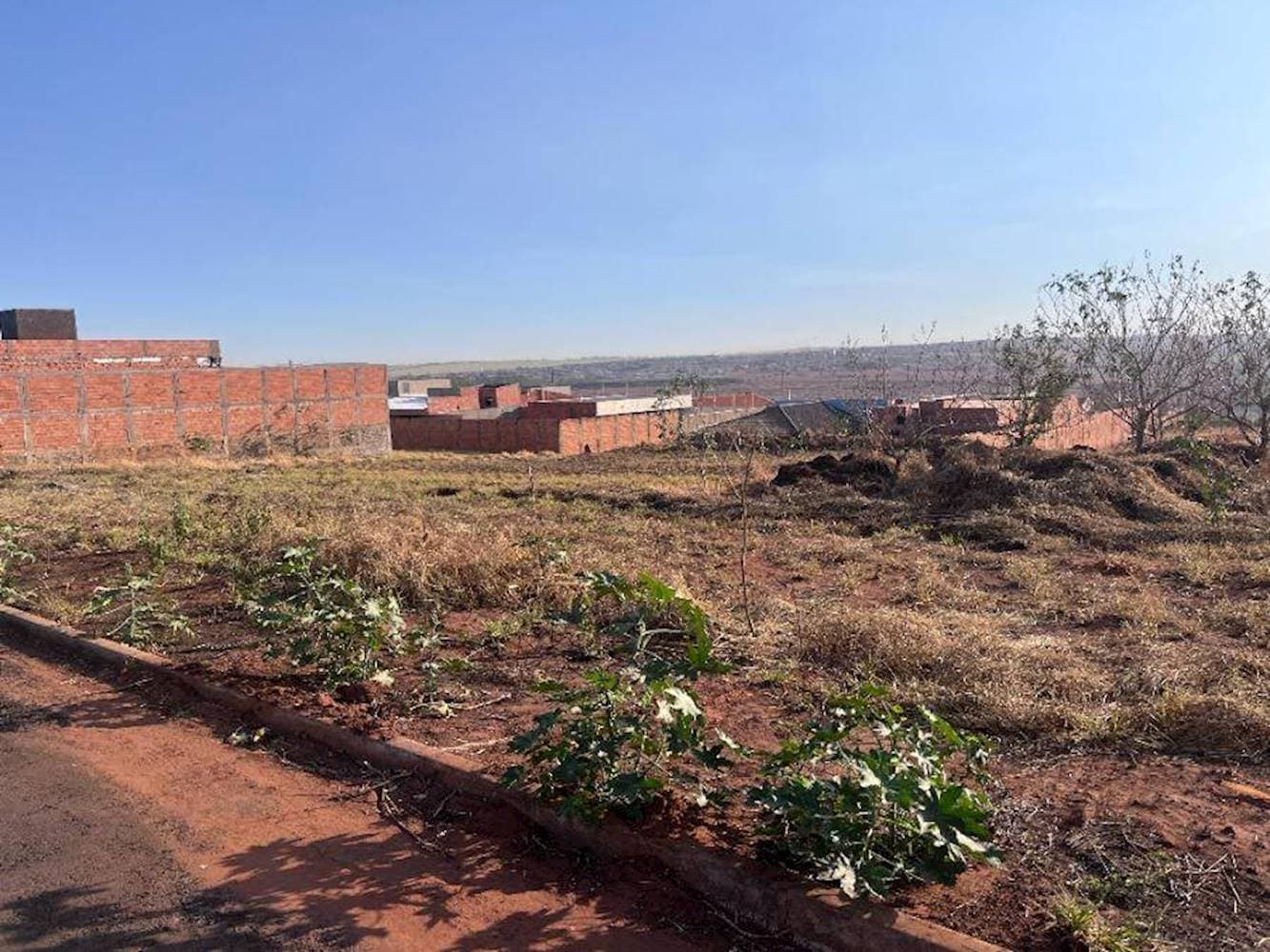 Foto 4 de 6: Terreno em leilão em Orlândia - SP — Terreno no Jardim Timboré em Orlândia/SP