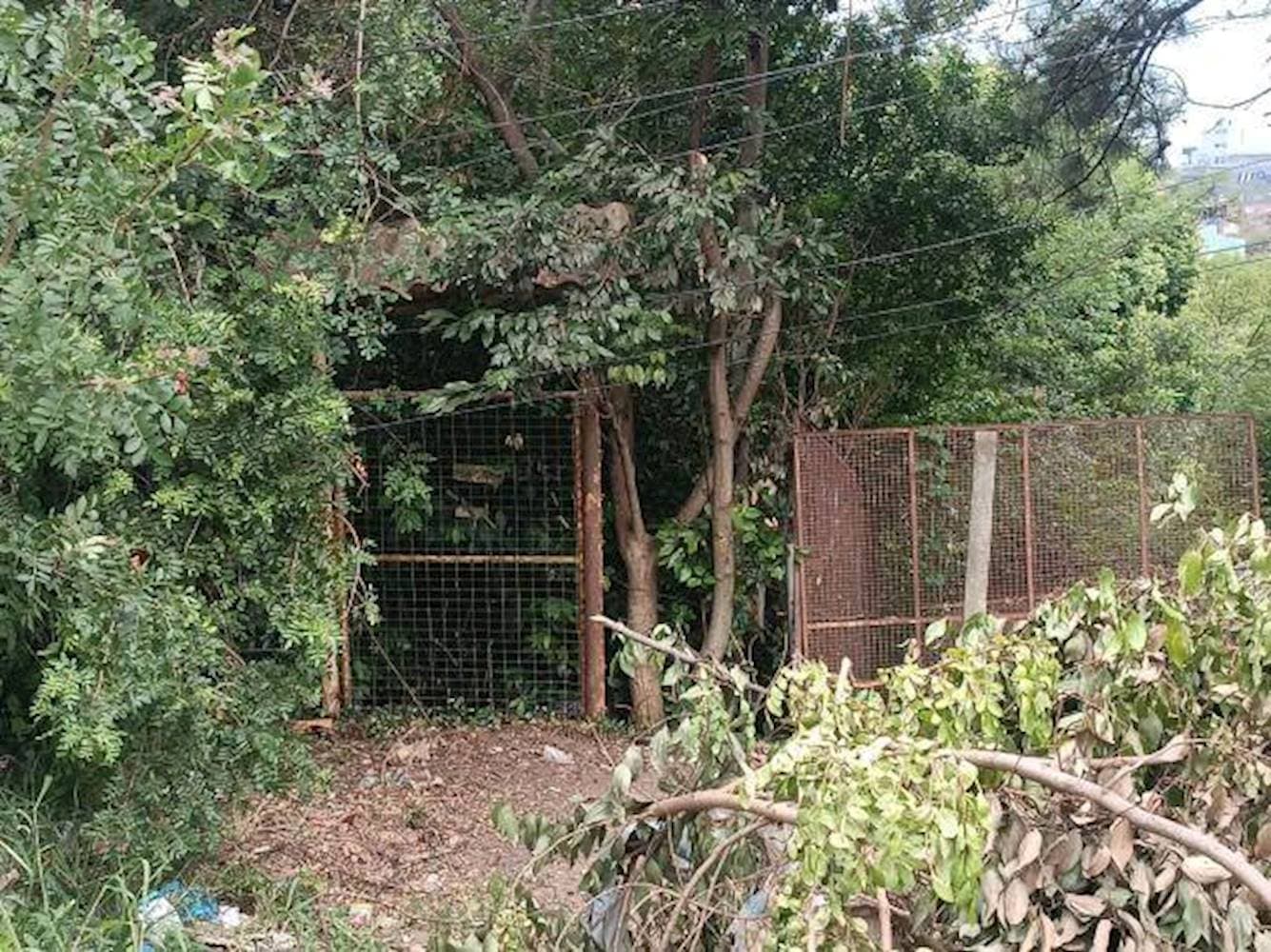 Foto 1 de 6: Terreno em leilão em Viamão - RS — Terreno no São Lucas em Viamão/RS