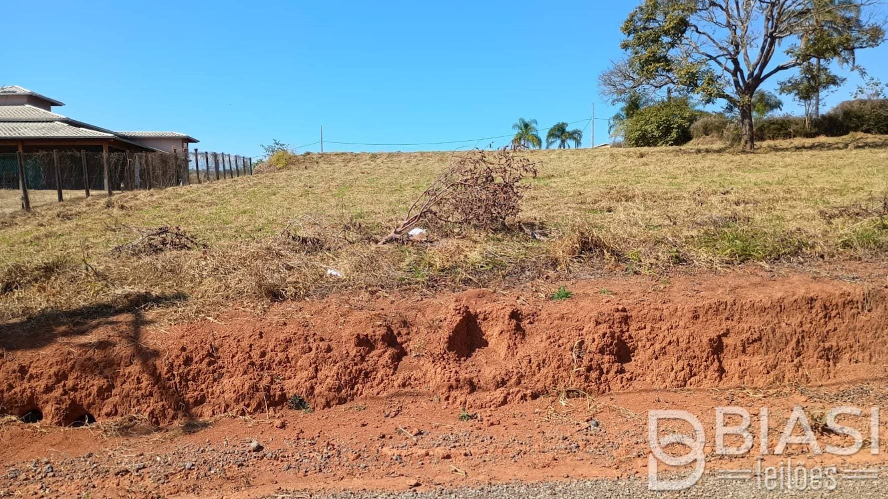 Foto 1 de 11: Terreno em leilão em Carmópolis de Minas - MG — Terreno em Carmópolis de Minas/MG | Lote 06 - Quadra 04 | 1.000,00 m²