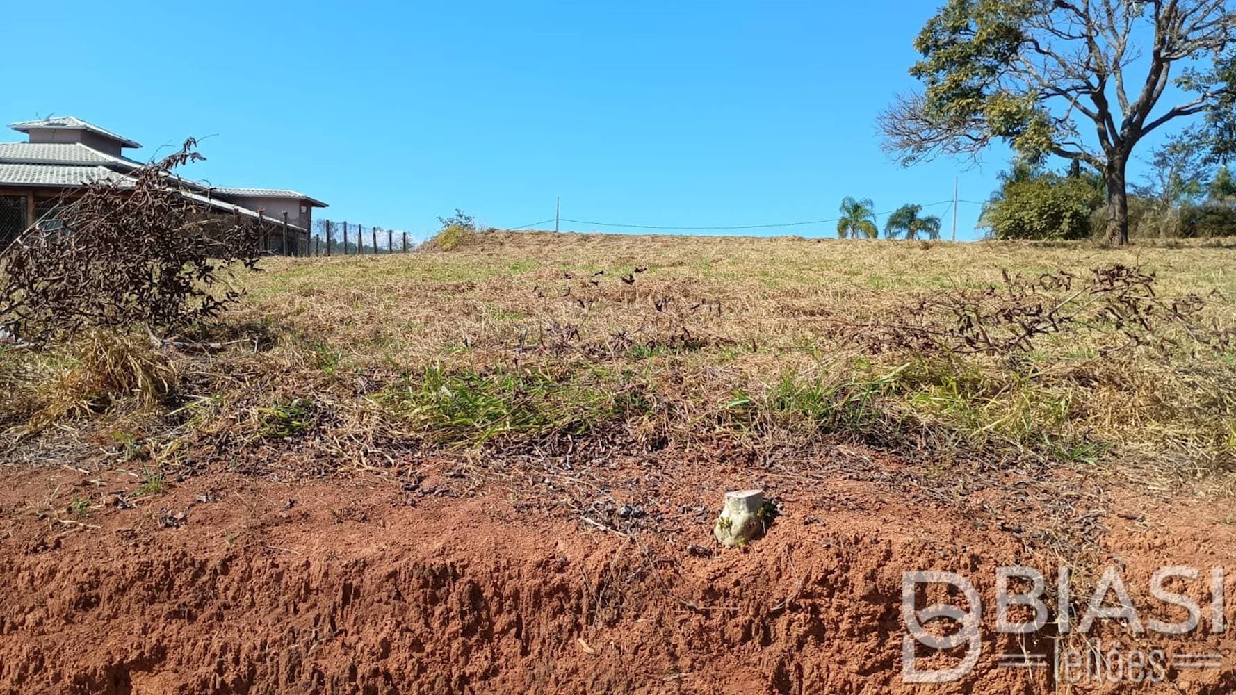 Foto 5 de 11: Terreno em leilão em Carmópolis de Minas - MG — Terreno em Carmópolis de Minas/MG | Lote 06 - Quadra 04 | 1.000,00 m²