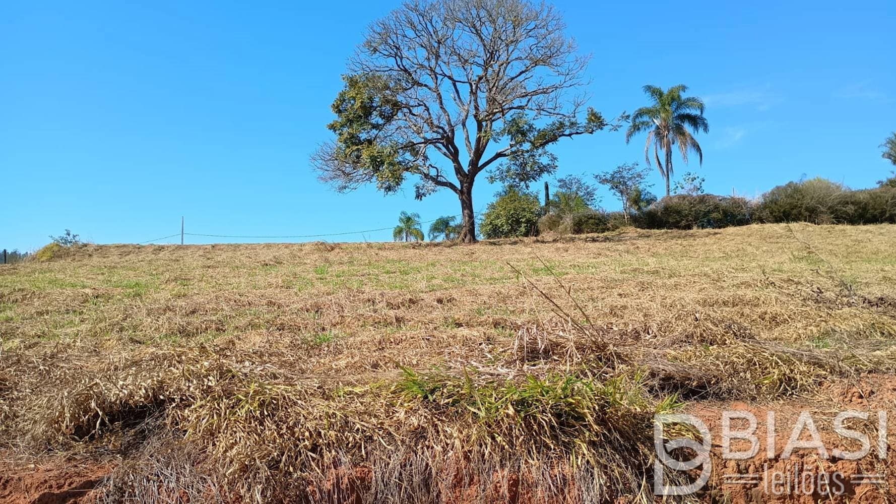 Foto 1 de 11: Terreno em leilão em Carmópolis de Minas - MG — Terreno em Carmópolis de Minas/MG | Lote 07 - Quadra 04 | 1.000,00 m²