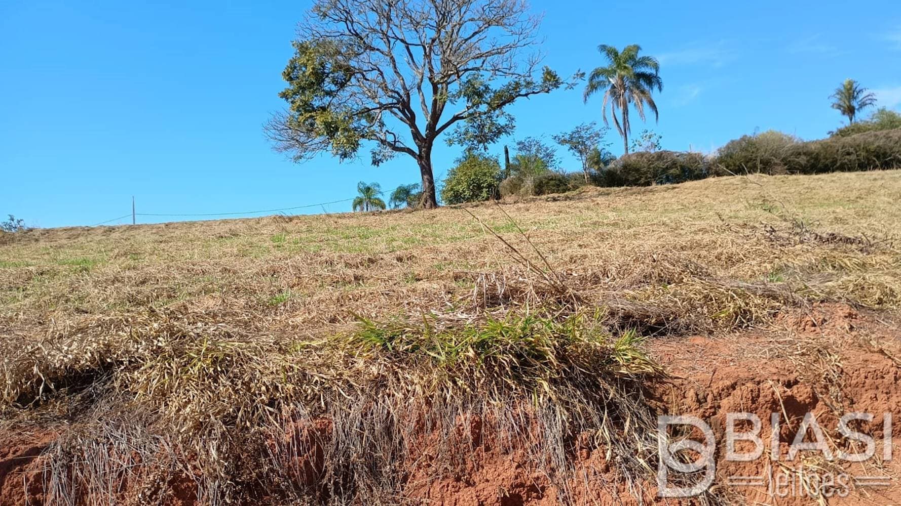Foto 2 de 11: Terreno em leilão em Carmópolis de Minas - MG — Terreno em Carmópolis de Minas/MG | Lote 07 - Quadra 04 | 1.000,00 m²