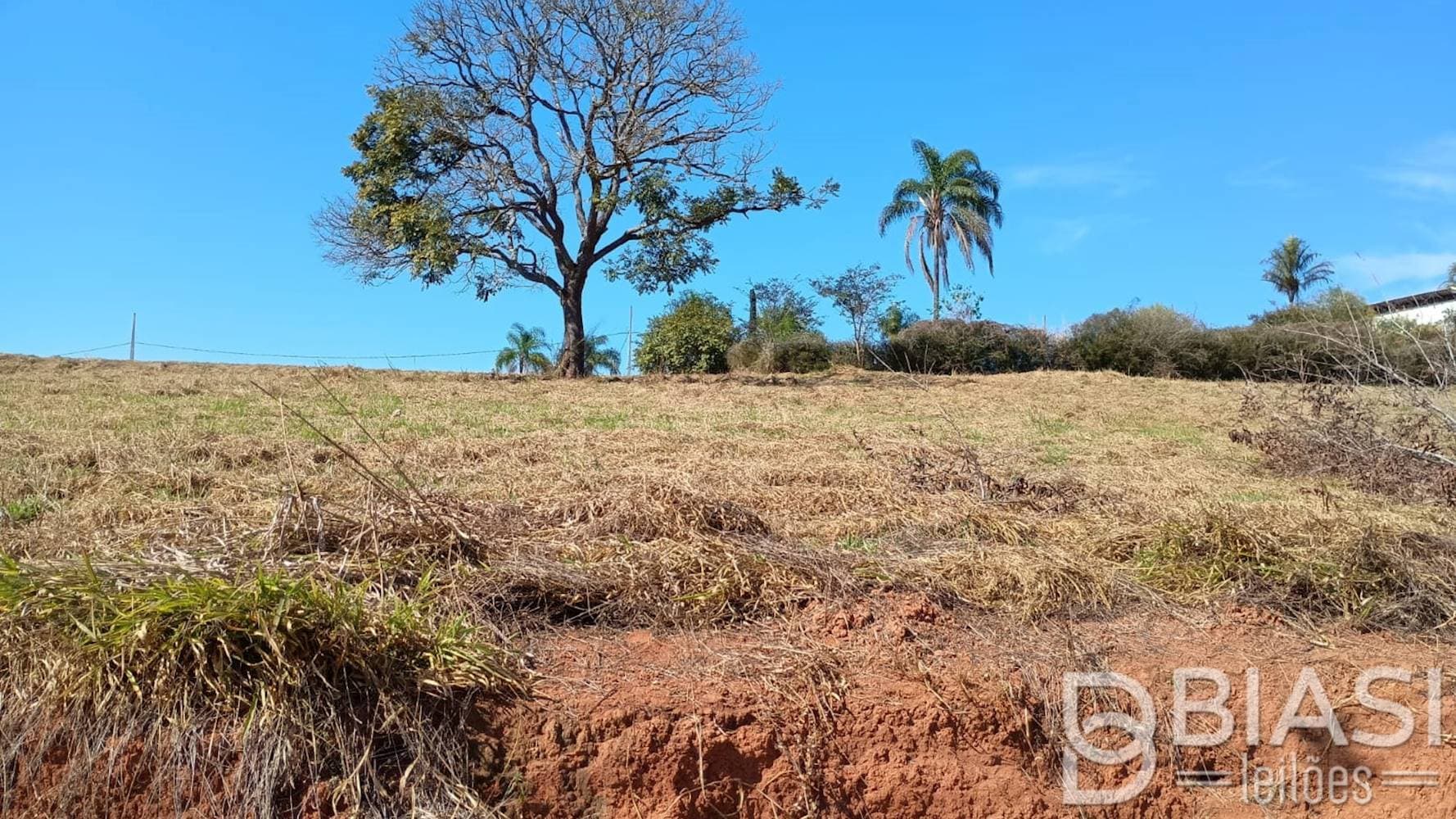 Foto 3 de 11: Terreno em leilão em Carmópolis de Minas - MG — Terreno em Carmópolis de Minas/MG | Lote 07 - Quadra 04 | 1.000,00 m²