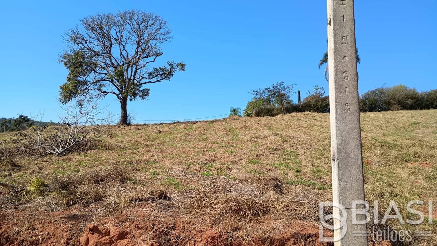Foto 4 de 11: Terreno em leilão em Carmópolis de Minas - MG — Terreno em Carmópolis de Minas/MG | Lote 07 - Quadra 04 | 1.000,00 m²