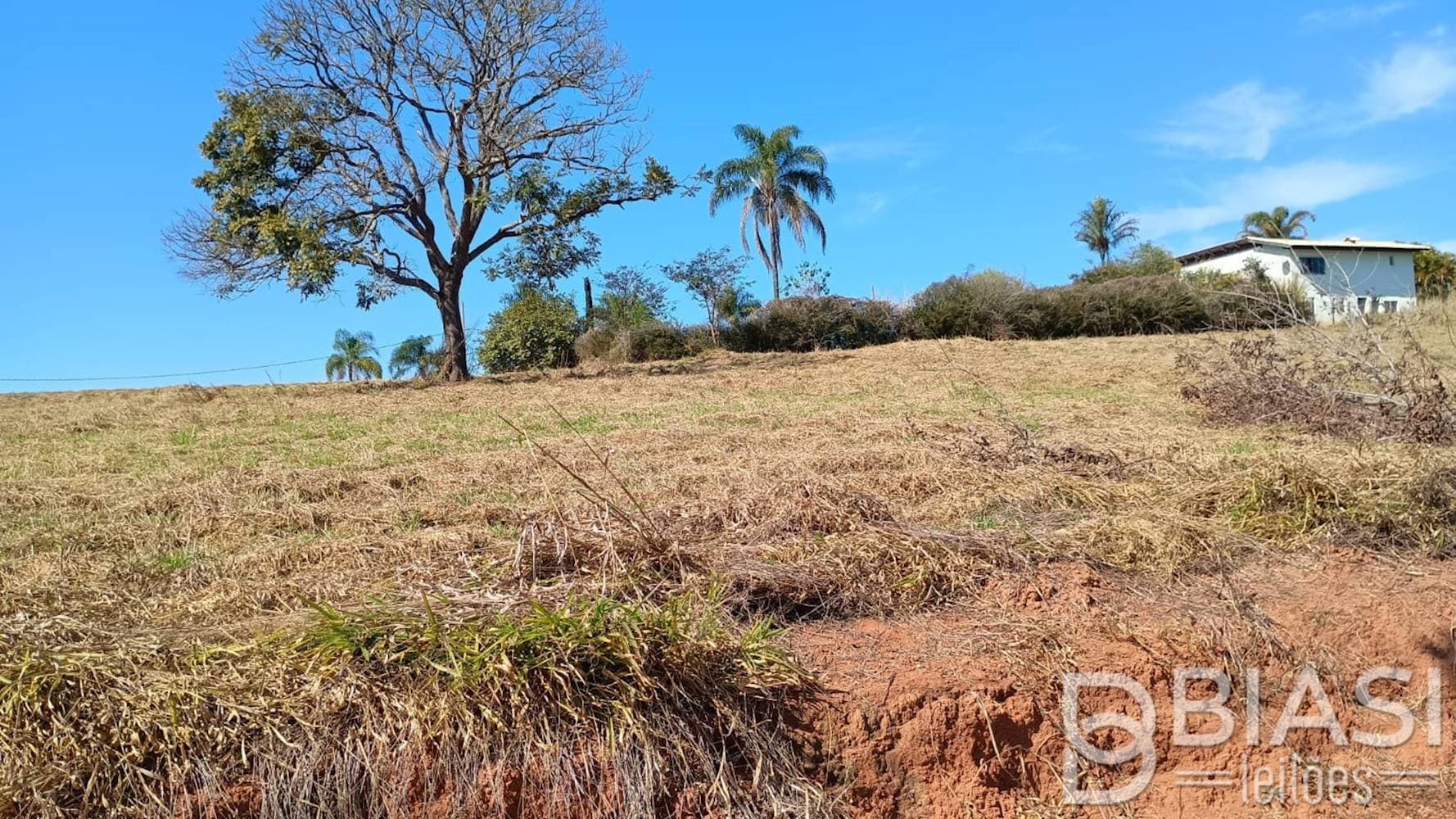 Foto 5 de 11: Terreno em leilão em Carmópolis de Minas - MG — Terreno em Carmópolis de Minas/MG | Lote 07 - Quadra 04 | 1.000,00 m²