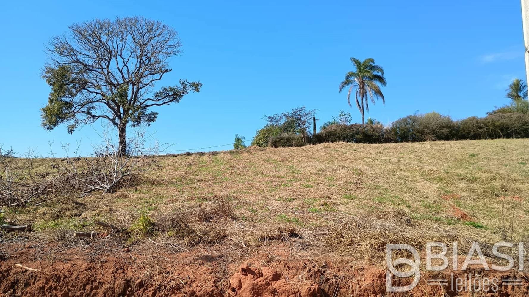 Foto 6 de 11: Terreno em leilão em Carmópolis de Minas - MG — Terreno em Carmópolis de Minas/MG | Lote 07 - Quadra 04 | 1.000,00 m²