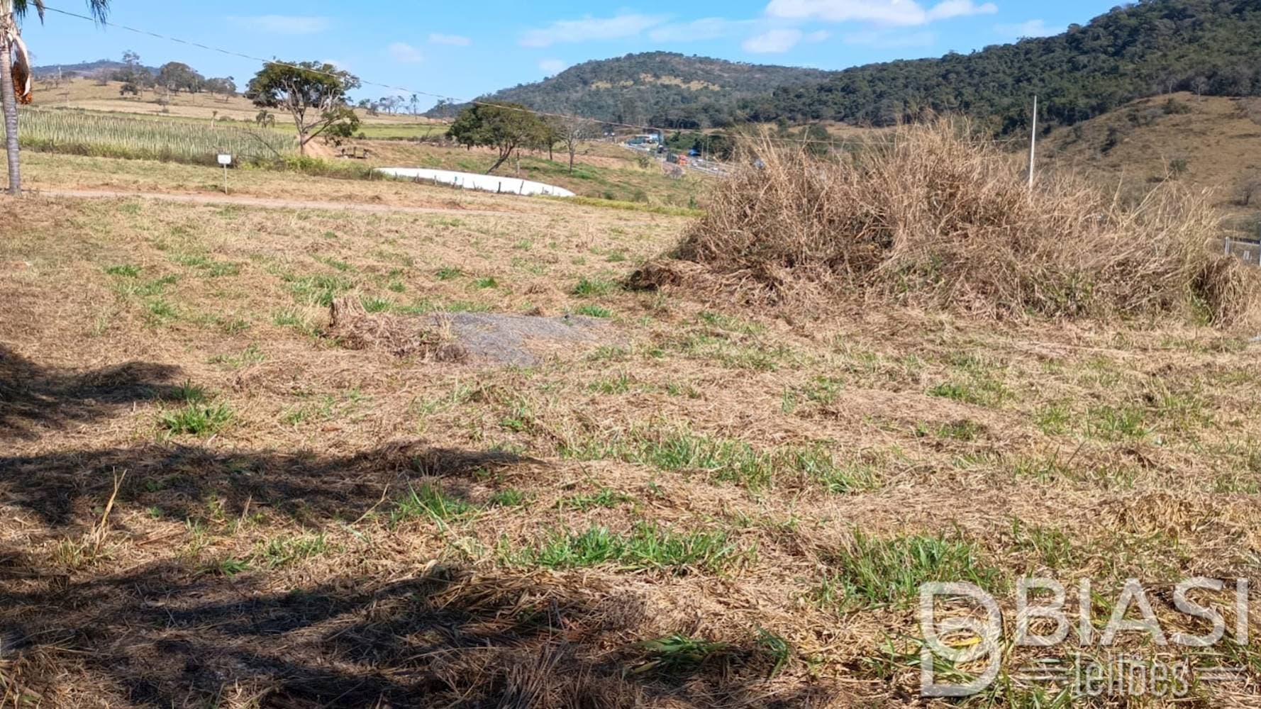 Foto 6 de 12: Terreno em leilão em Carmópolis de Minas - MG — Terreno em Carmópolis de Minas/MG | Lote 10 - Quadra 02 | 800,00 m²
