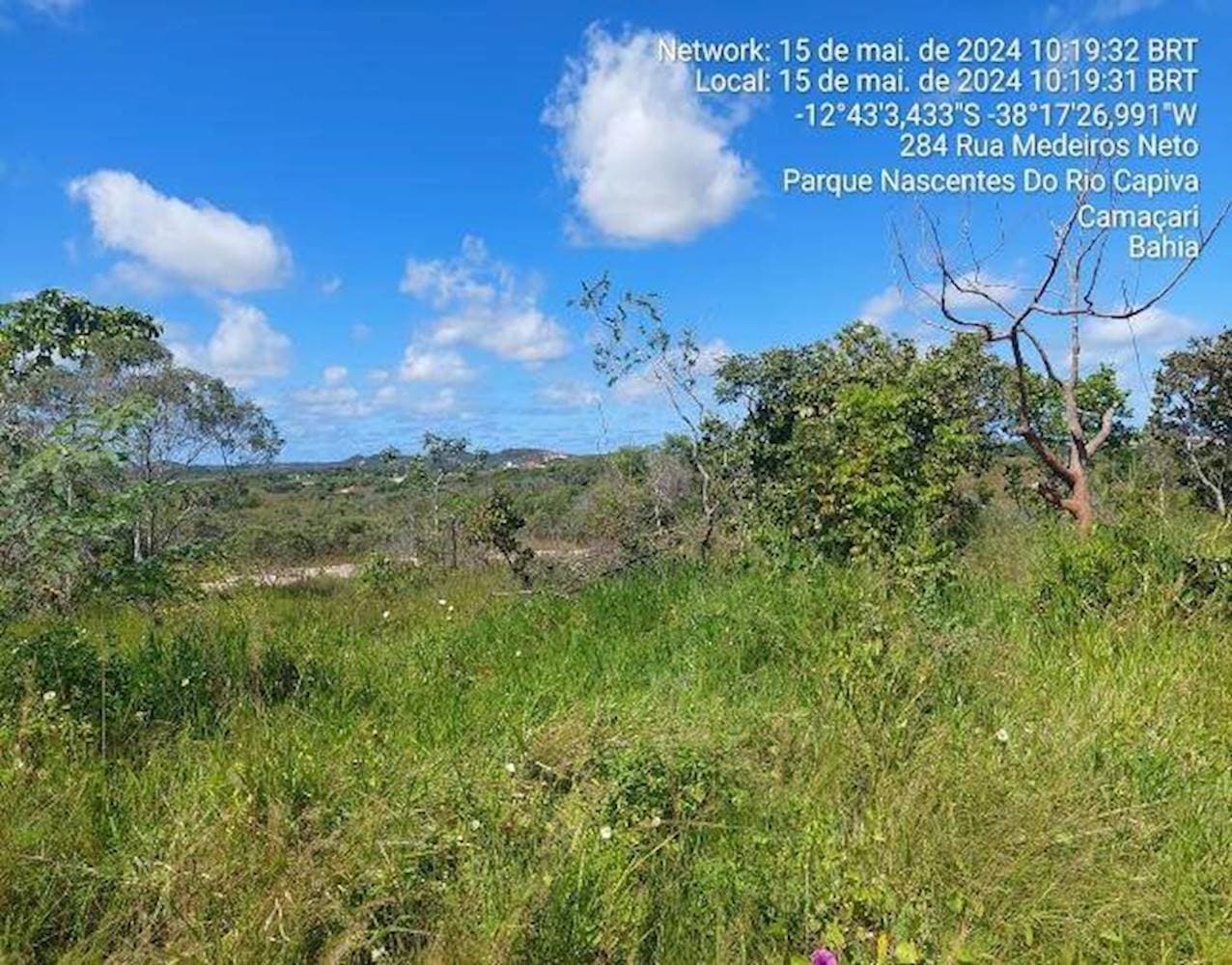 Foto 8 de 14: Terreno em leilão em Camaçari - BA — Terreno no Espaço Alpha em Camaçari/BA