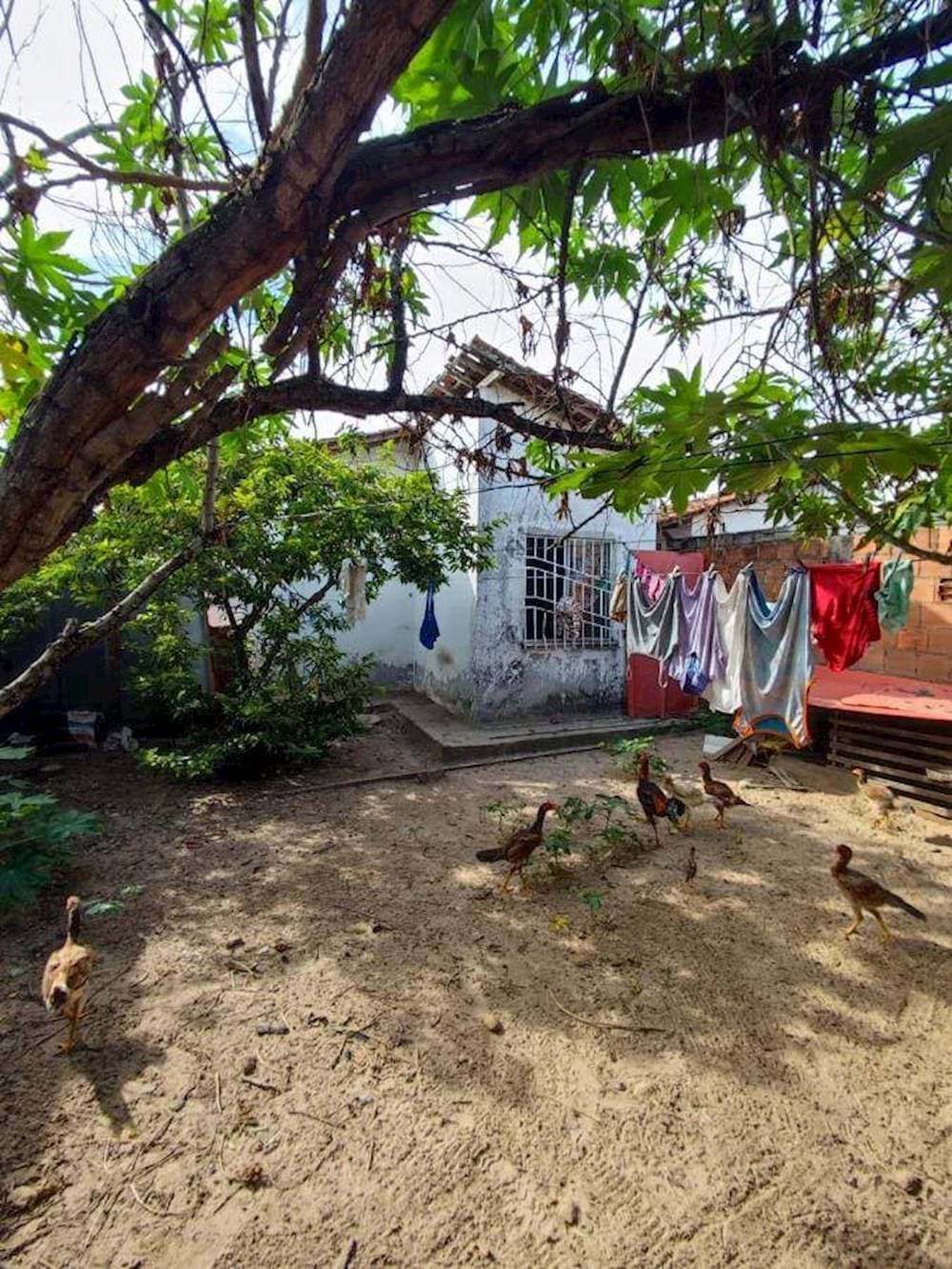 Foto 14 de 14: Casa em leilão em Aracaju - SE — Casa em Santa Maria - Aracaju/SE