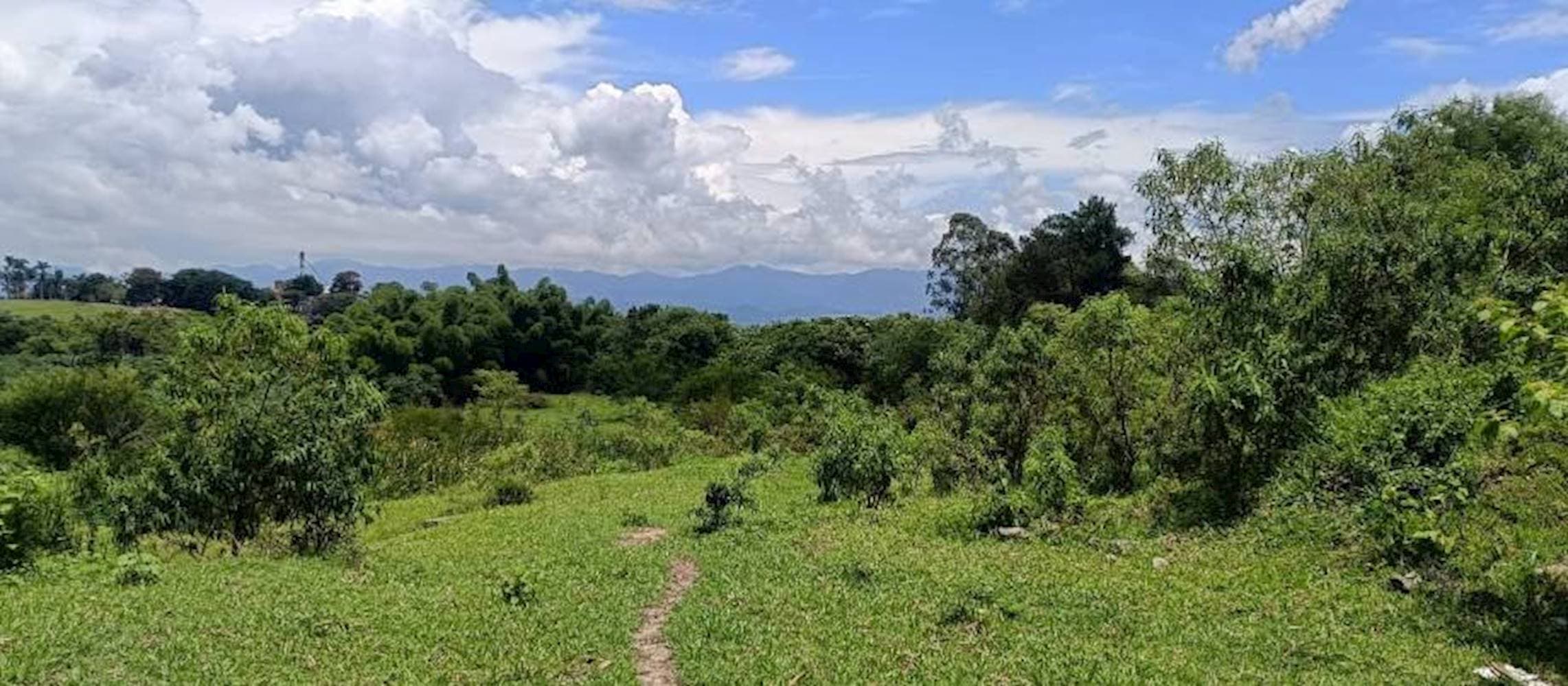 Foto 6 de 7: Terreno em leilão em Taubaté - SP — Terreno no Parque São Cristóvão em Taubaté/SP