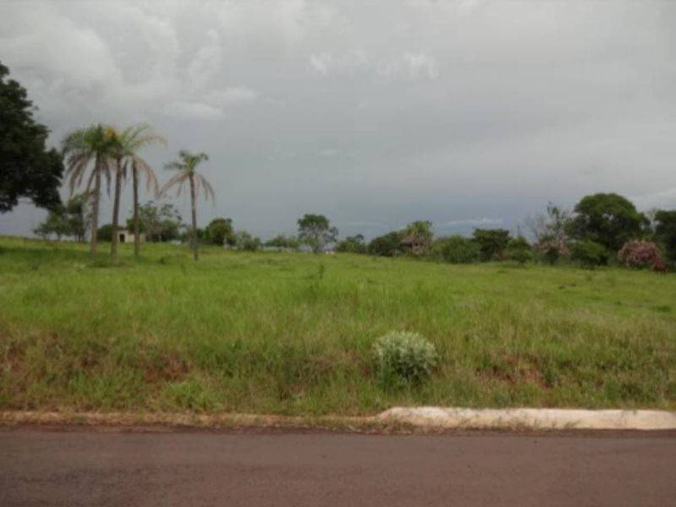 Foto 7 de 15: Terreno em leilão em Pérola - PR — Terreno em Pérola - Pérola/PR