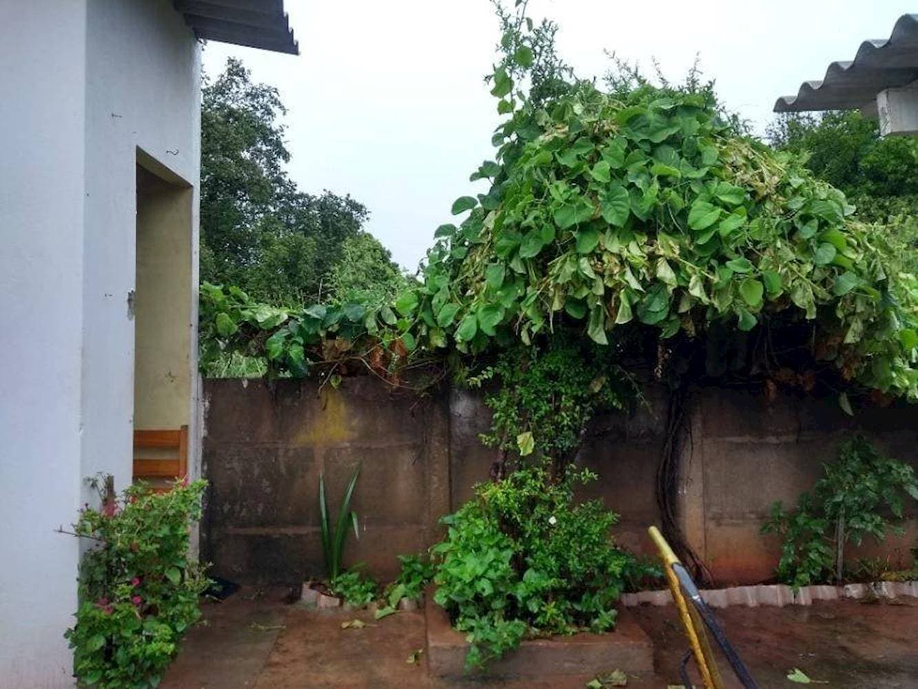 Foto 21 de 21: Casa em leilão em Promissão - SP — Casa no Centro - Promissão/SP
