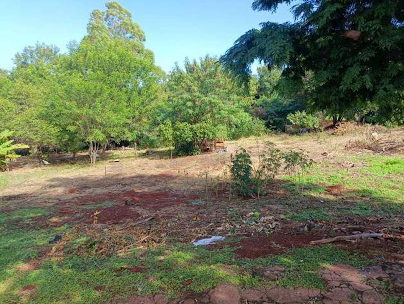Foto 5 de 6: Terreno em leilão em Paiçandu - PR — Terreno no Jardim Santa Luzia Iii - Paiçandu/PR