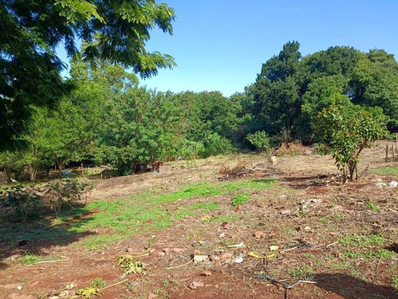Foto 6 de 6: Terreno em leilão em Paiçandu - PR — Terreno no Jardim Santa Luzia Iii - Paiçandu/PR