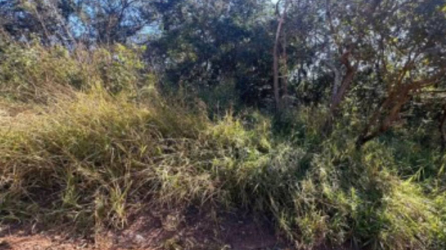 Foto 2 de 4: Terreno em leilão em Mário Campos - MG — 03 Terrenos na Vila das Amoreiras - Mário Campos/MG
