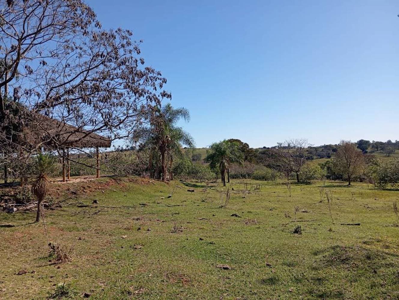 Foto 6 de 10: Terreno em leilão em Pérola - PR — Terreno em Pérola - Pérola/PR