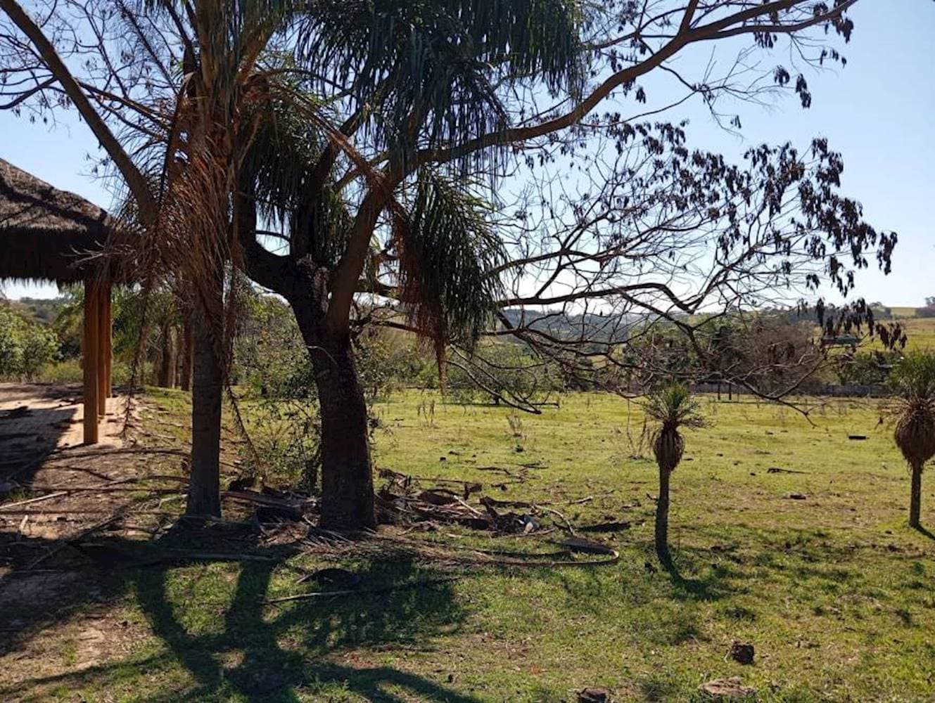 Foto 8 de 10: Terreno em leilão em Pérola - PR — Terreno em Pérola - Pérola/PR