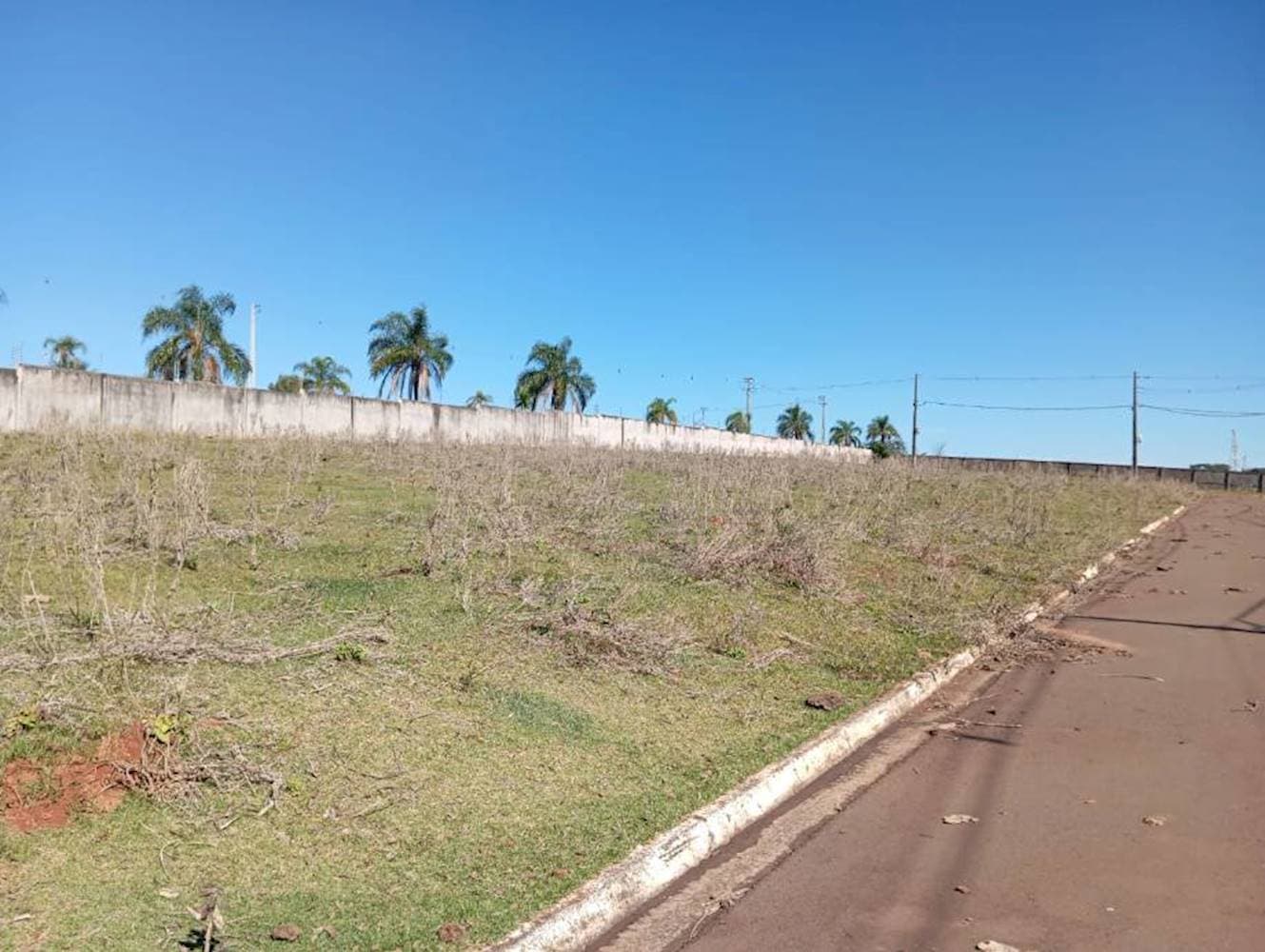 Foto 10 de 10: Terreno em leilão em Pérola - PR — Terreno em Pérola - Pérola/PR