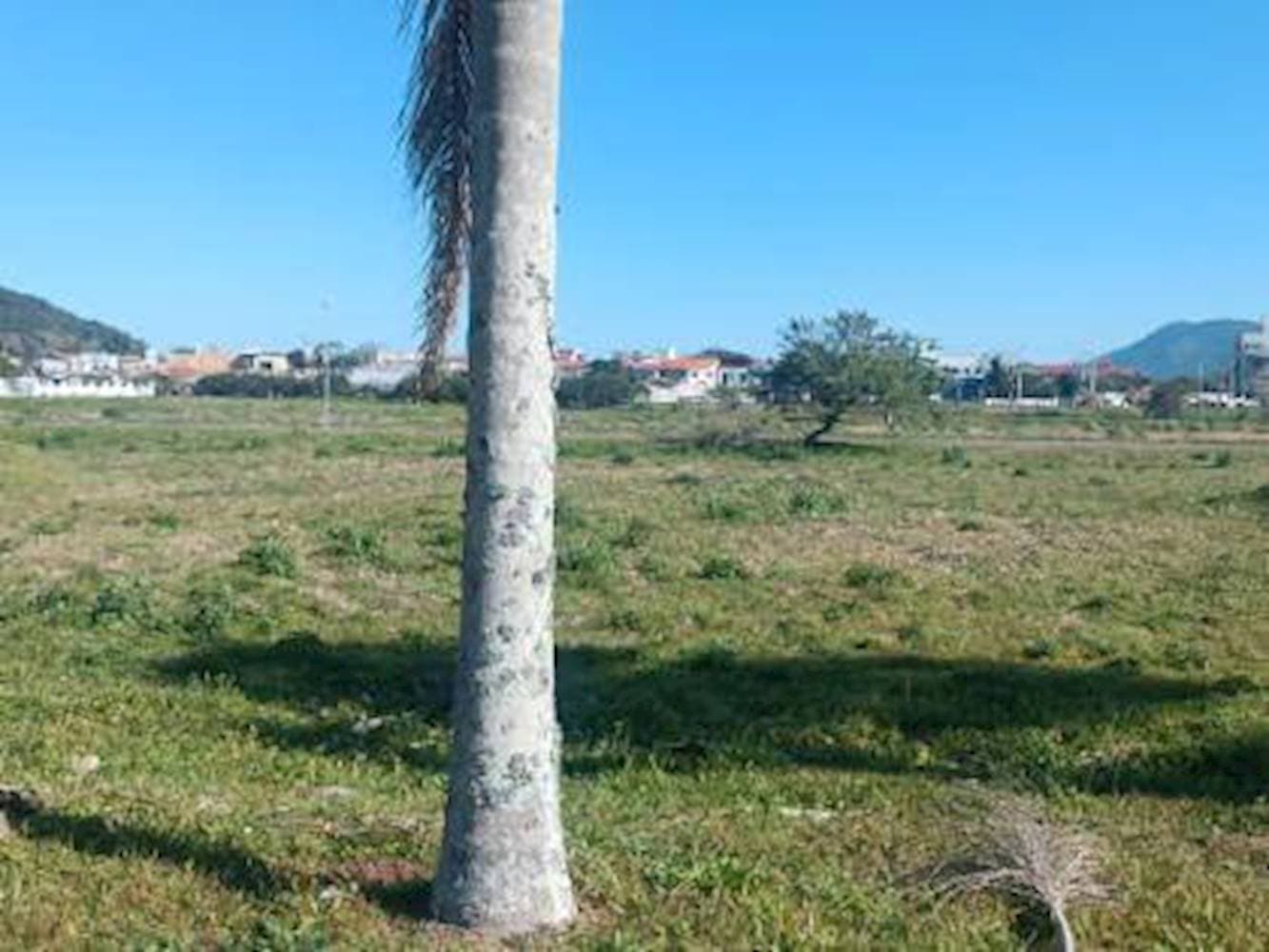 Foto 10 de 12: Terreno em leilão em Florianópolis - SC — Terreno em Pantano Do Sul - Florianópolis/SC