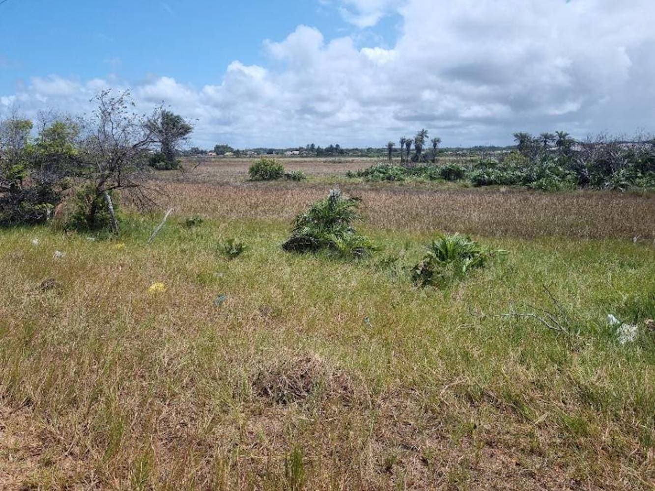Foto 2 de 5: Terreno em leilão em Itaporanga D'ajuda - SE — Terreno na Vila Rica Do Abais em Itaporanga D'Ajuda/SE
