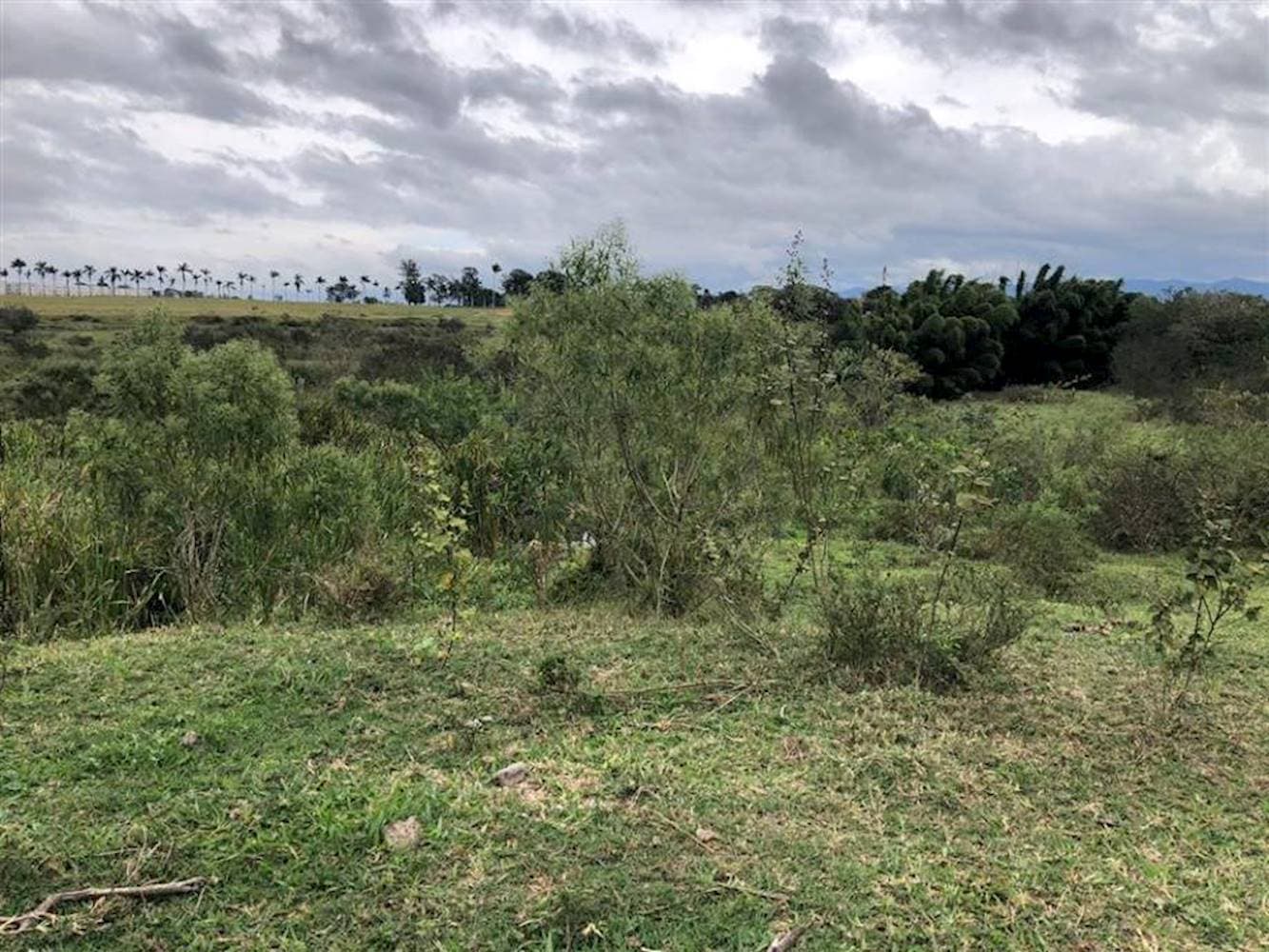 Foto 5 de 7: Terreno em leilão em Taubaté - SP — Terreno no Parque São Cristóvão em Taubaté/SP