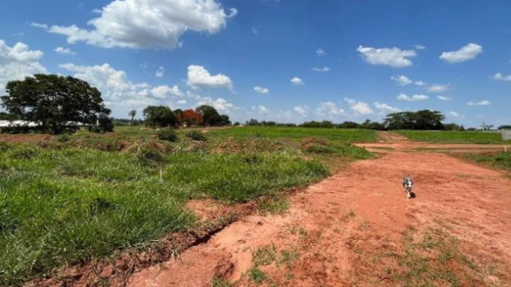 Foto 4 de 10: Terreno em leilão em Ipiguá - SP — Terreno na Reserva dos Equestres - Ipiguá/SP