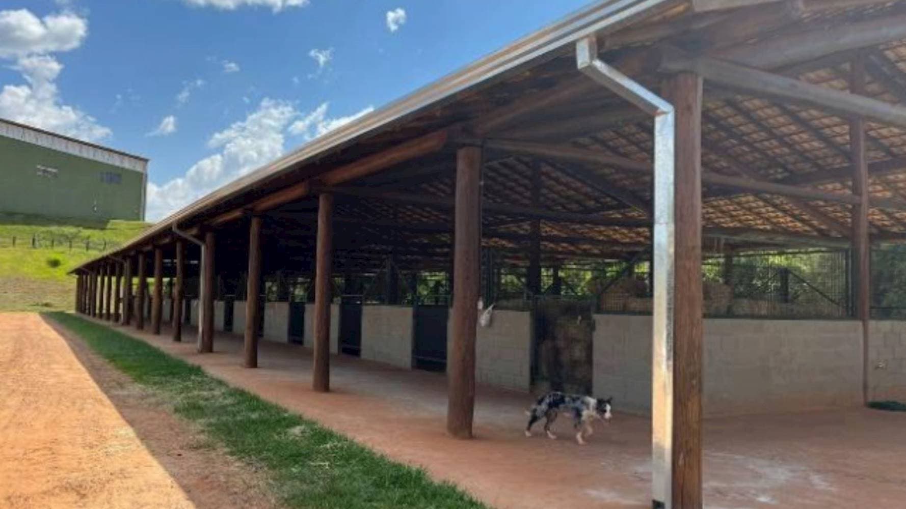 Foto 6 de 10: Terreno em leilão em Ipiguá - SP — Terreno na Reserva dos Equestres - Ipiguá/SP