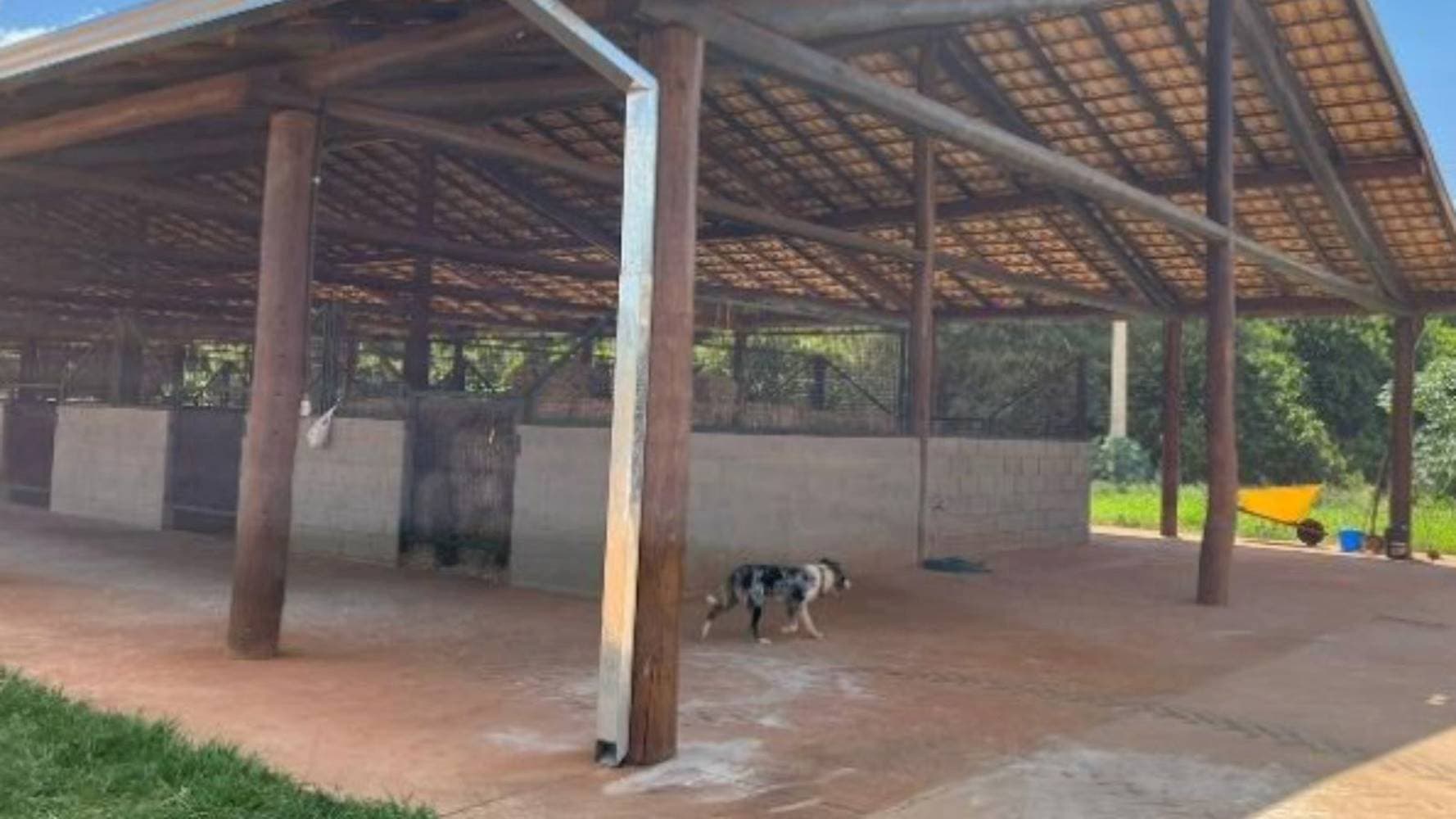 Foto 8 de 10: Terreno em leilão em Ipiguá - SP — Terreno na Reserva dos Equestres - Ipiguá/SP