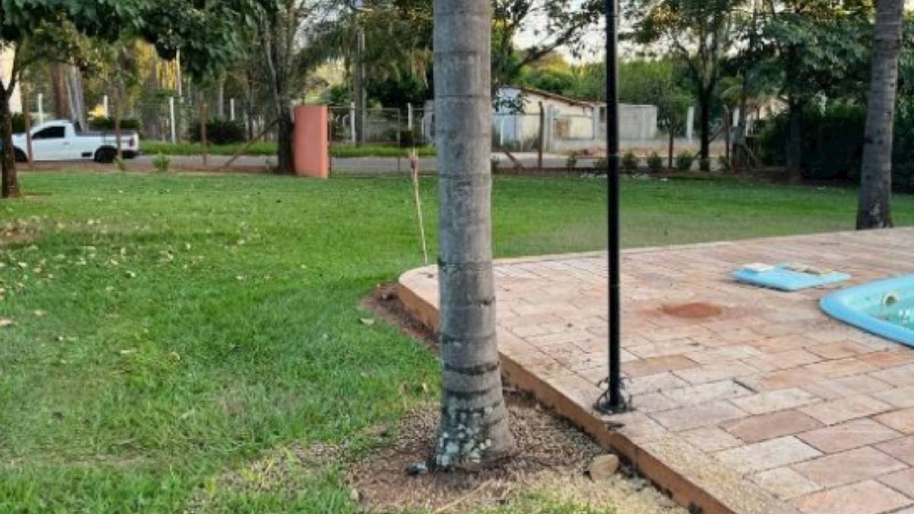 Foto 10 de 16: Casa em leilão em Adolfo - SP — Chácara no Jardim Morumbi - Adolfo/SP