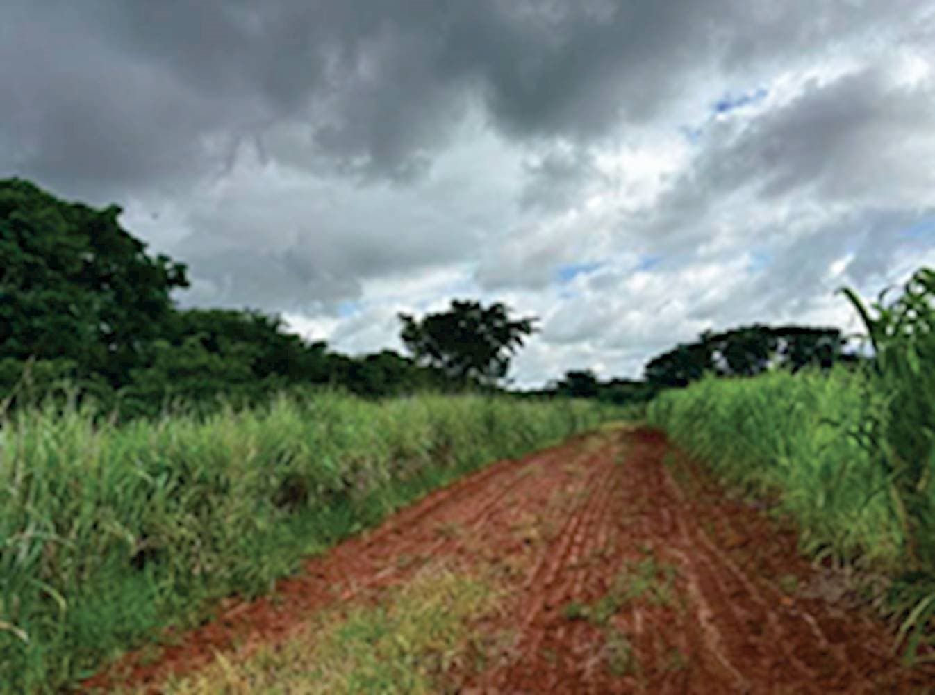 Foto 2 de 4: Terreno em leilão em São Carlos - SP — Terreno no Posto do Castelo em São Carlos/SP (Parte B)